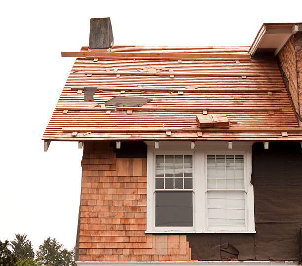 Affordable Siding Repair and Maintenance Services in Gassville, AR